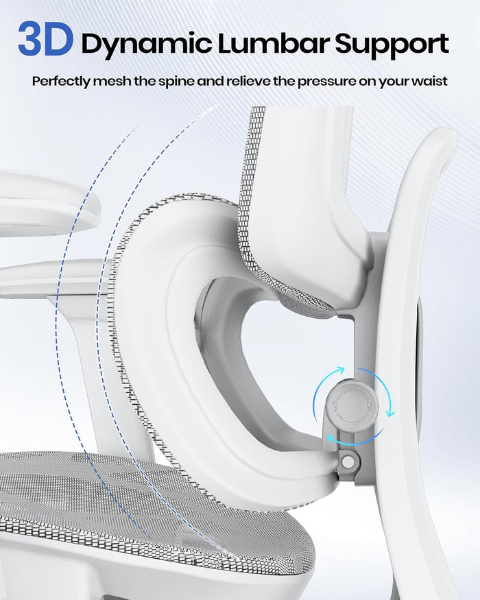 Ergonomic Mesh Office Chair with Lumbar Support