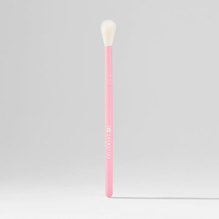 EXO Brushes