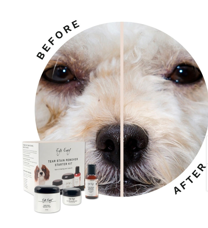 EYE ENVY STAIN REMOVER STARTER KIT FOR DOGS