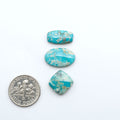 Fox Turquoise cabochons, polished gemstones with natural matrix on a white background, with a US dime for scale