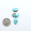 Fox Turquoise cabochons, polished gemstones with natural matrix on a white background, with a US dime for scale
