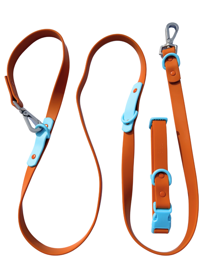 Choco Blue / Small / Standard