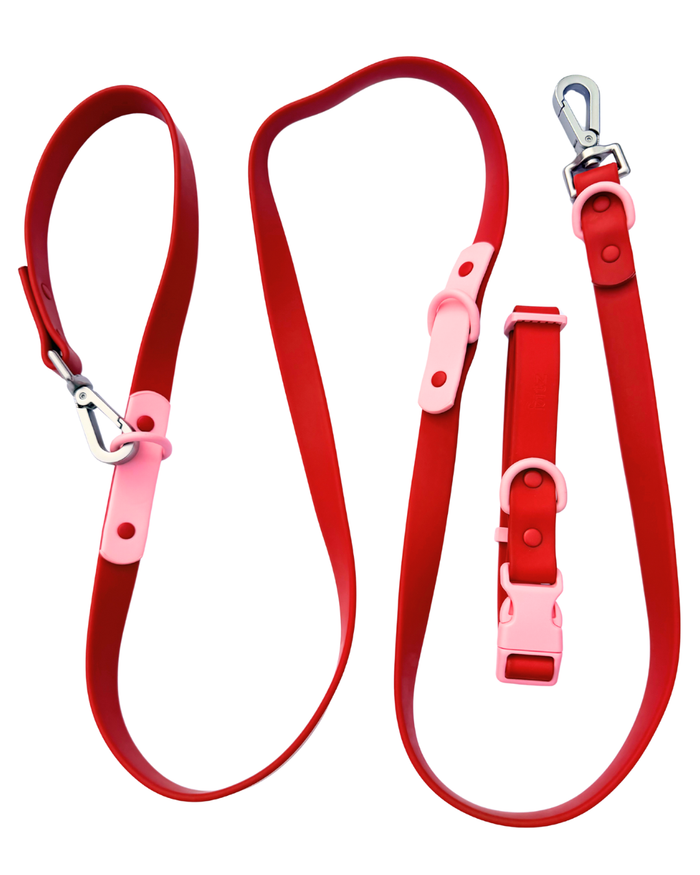 Cherry / Small / Standard