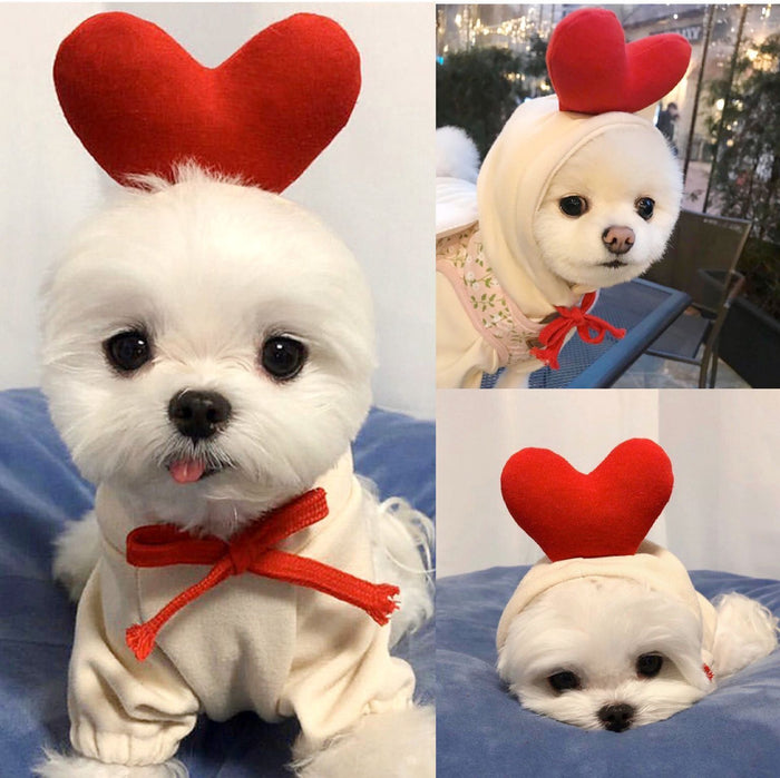 FruitPaws Cozy Fruit Fleece Pet Hoodie