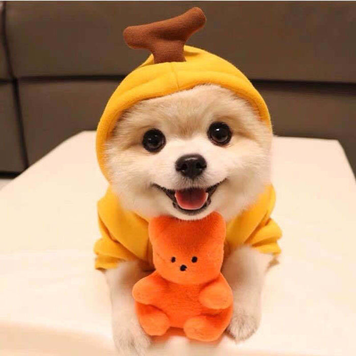 FruitPaws Cozy Fruit Fleece Pet Hoodie