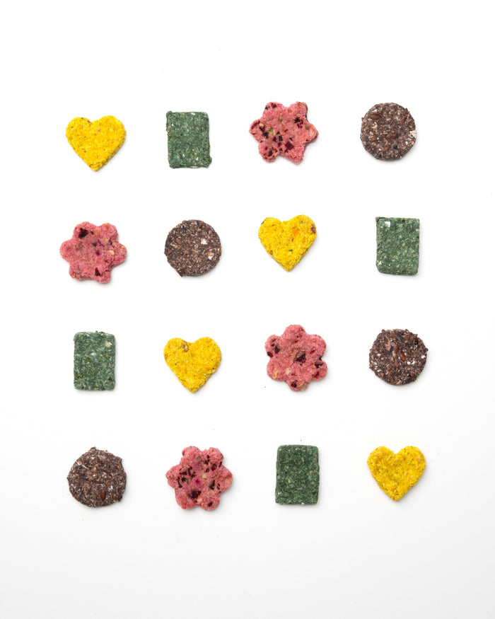 Good Dog Biscuit