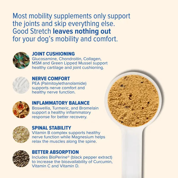 Good Stretch - Joint, Spine & Nerve Support