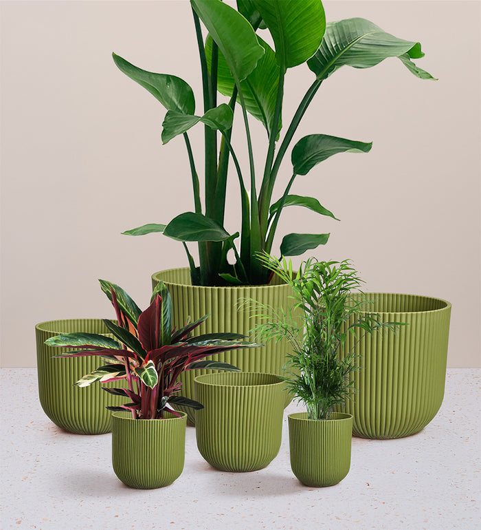 Green Elho Vibes Pot (9cm)