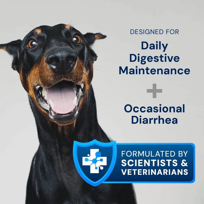 Gut Maintenance Saccharomyces boulardii (GMP)