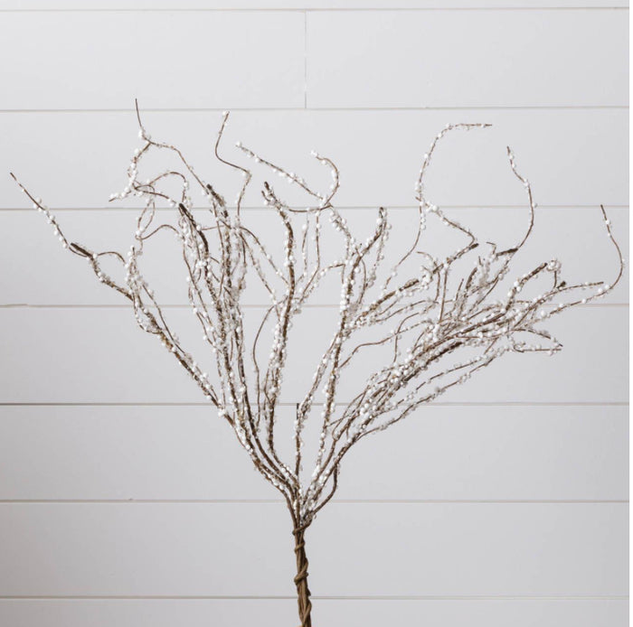 Ice Crystals Branch