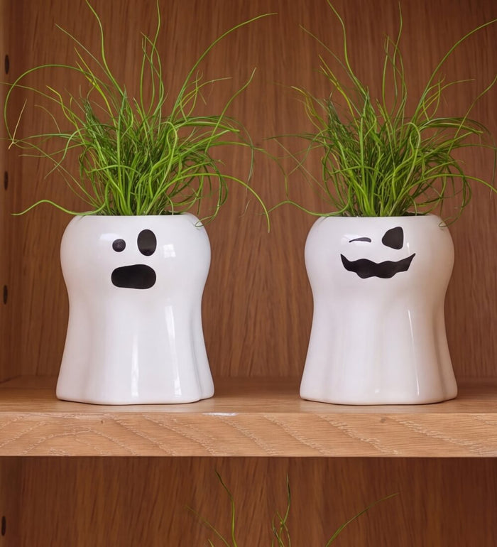 Juncus Spiralis in Ceramic Ghosts