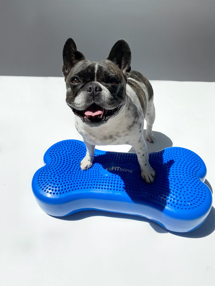 K9FITbone Training Platform
