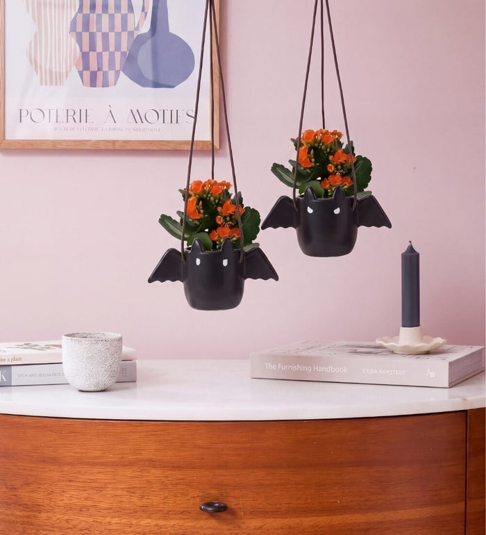 Kalanchoe in Ceramic Bats