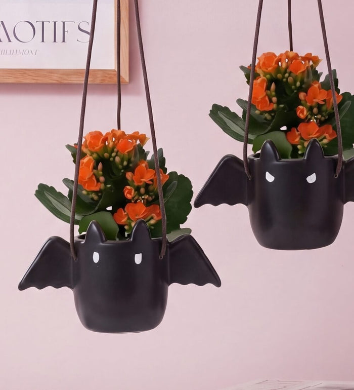 Kalanchoe in Ceramic Bats