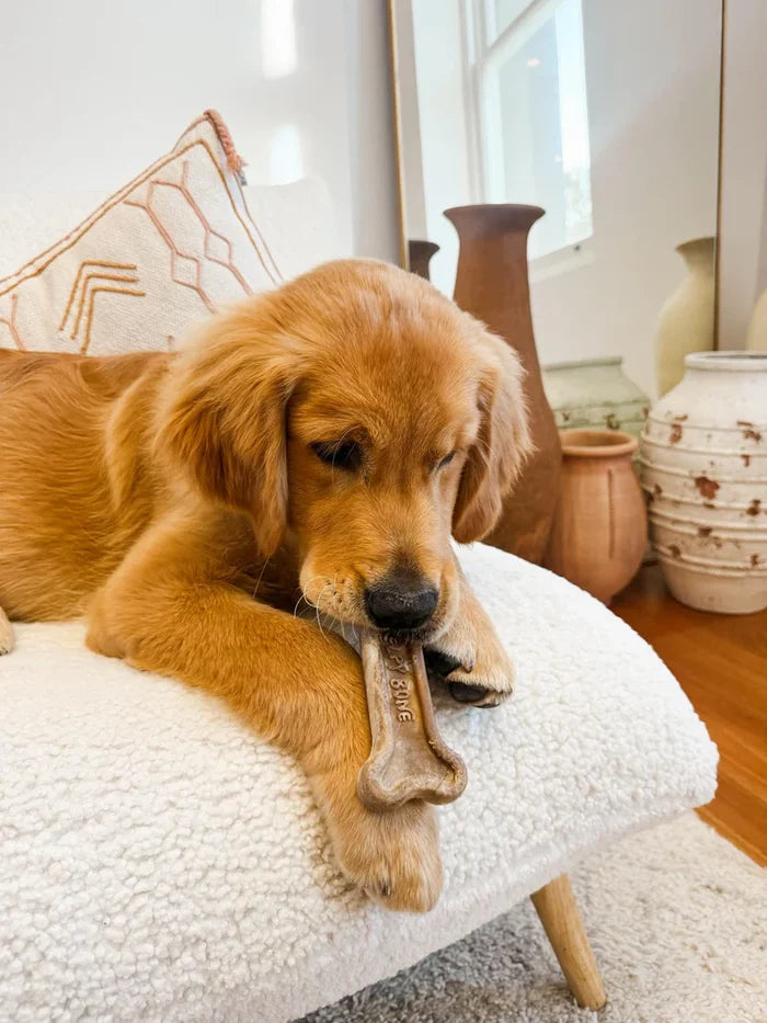 Kelpy Bone