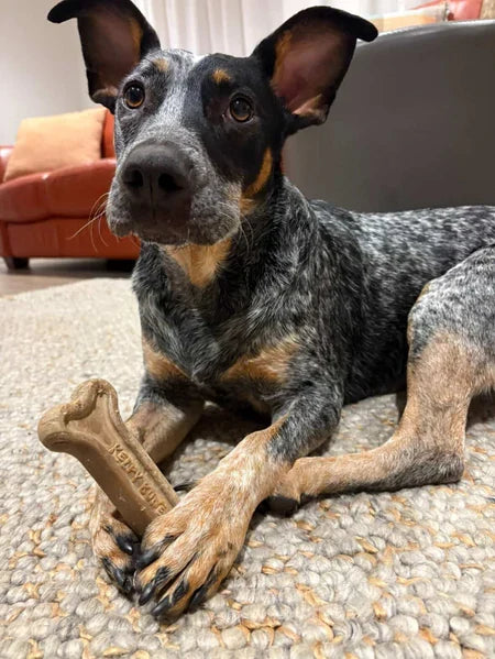 Kelpy Bone