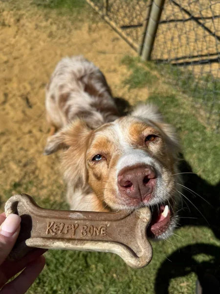 Kelpy Bone