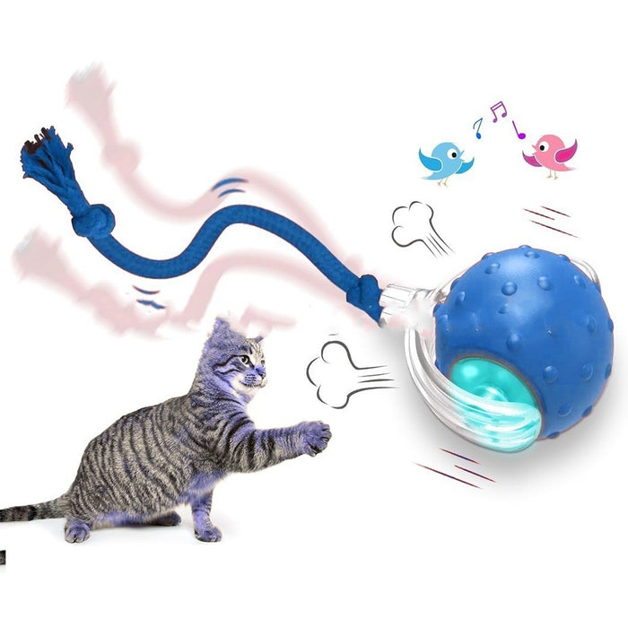 KittyOrbit Interactive Smart Rolling Ball for Cats