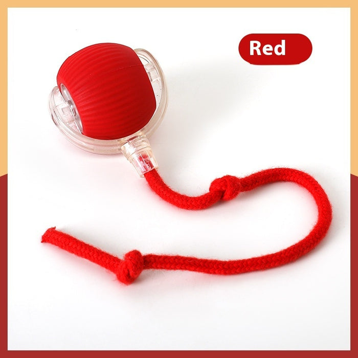 KittyOrbit Interactive Smart Rolling Ball for Cats