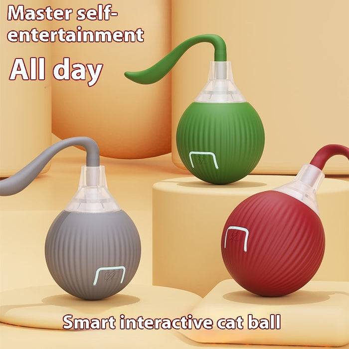 KittyOrbit Interactive Smart Rolling Ball for Cats