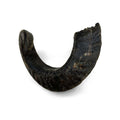 Lamb Horn