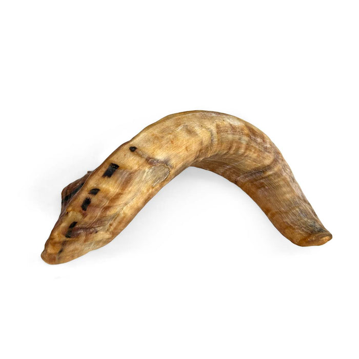Lamb Horn