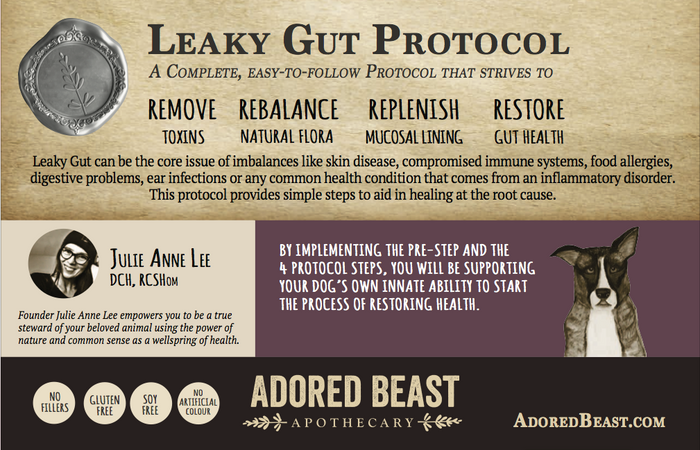 Leaky Gut Protocol