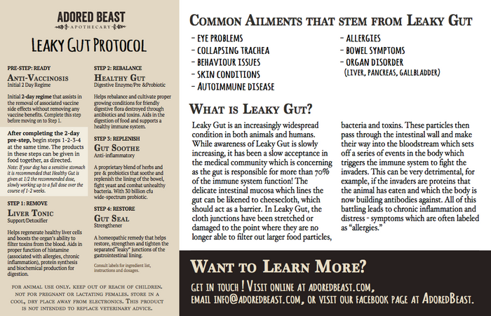 Leaky Gut Protocol