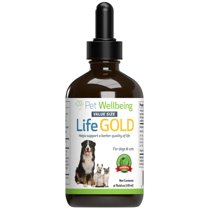 Life Gold - Trusted Care for Dog & Cat Cancer