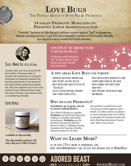 Love Bugs - Pre & Probiotics