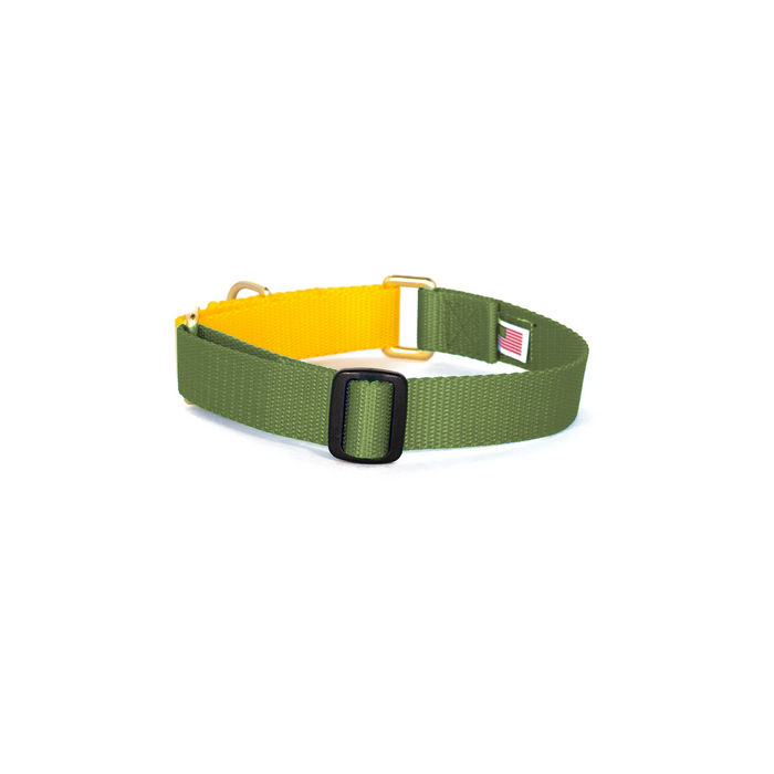 Martingale Collar - Military Green & Yellow