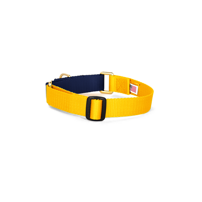 Martingale Collar - Yellow & Navy