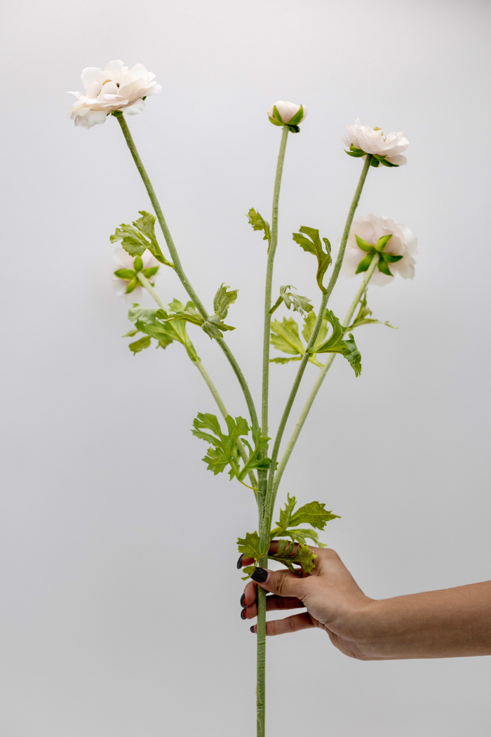 Meliora Ranunculus Spray - 37"