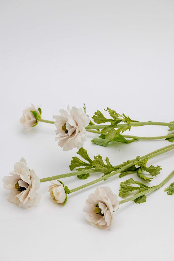 Meliora Ranunculus Spray - 37"