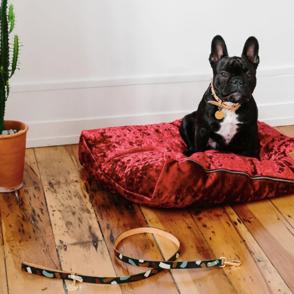 Nice Digs - Chiaro Leash