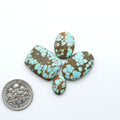 Turquoise stones with brown matrix on a white background, one stone size compared to a U.S. dollar coin. Number 8 Turquoise Cabochons have been selected for their quality and unique appearance. Don't miss the chance to add a one-of-a-kind piece to your collection.
