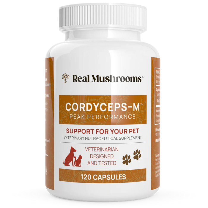 Organic Cordyceps Extract Capsules
