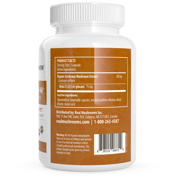 Organic Cordyceps Extract Capsules