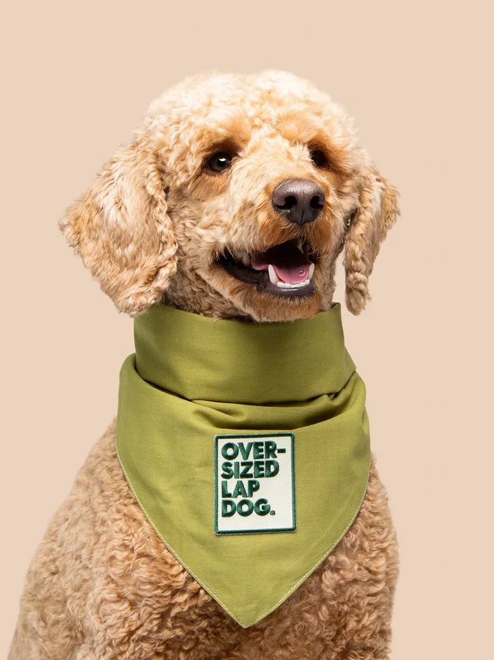 Over-sized lap dog Badge