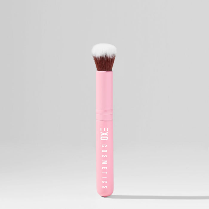 PASSENGER PRINCESS MINI BRUSH SET