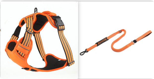Orange  set1 / L