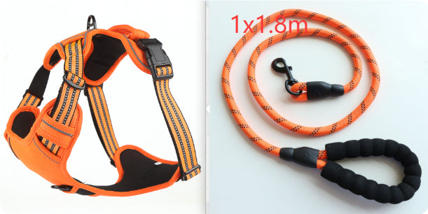 Orange  set2 / M
