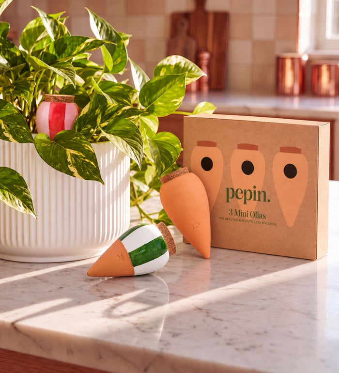 Pepin Striped Mini Olla Trio