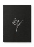 Petals in the Dark, Canvas