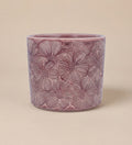 Pink Cosmos Pot 14cm