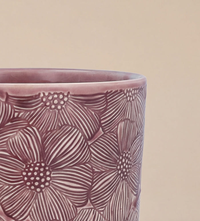 Pink Cosmos Pot 14cm