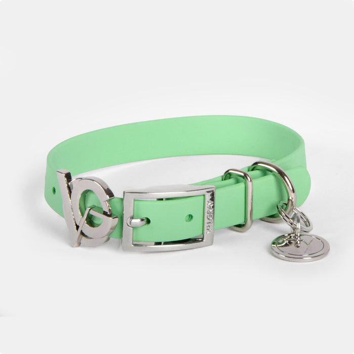 Valgray Premium Dog Collar for Small Dogs - Pistachio & Silver