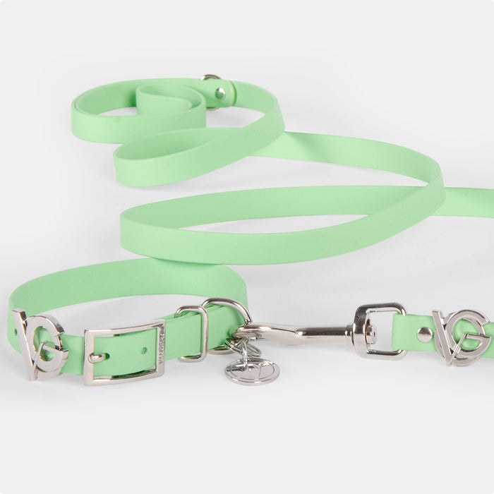 Pistachio | Silver | S