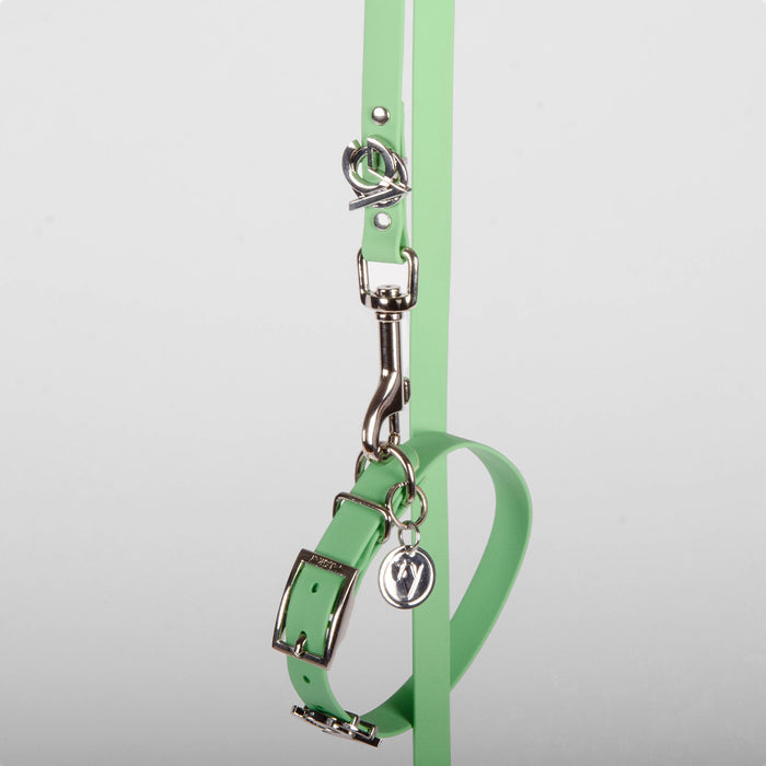 Pistachio | Silver | S