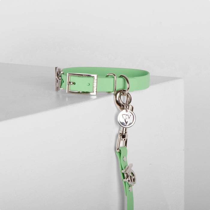 Pistachio | Silver | S
